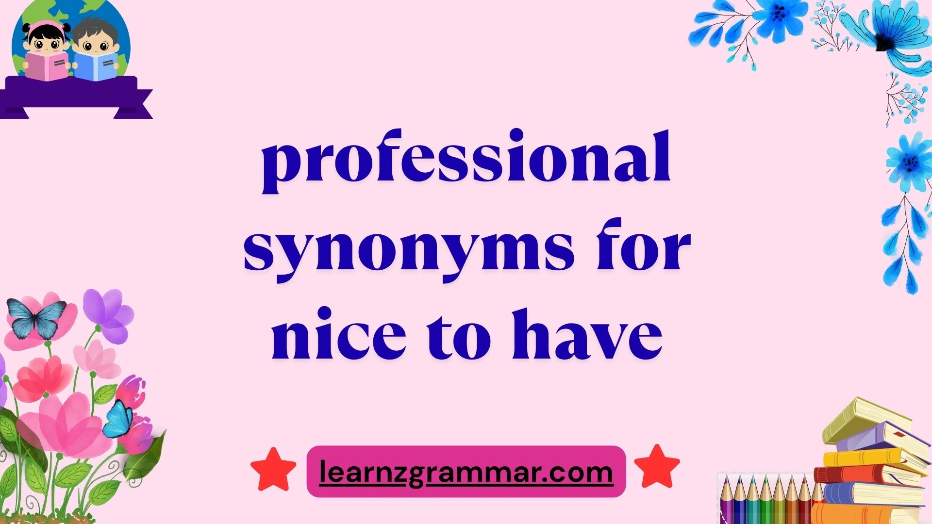 professional synonyms for nice to have